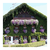 balkonblumen2